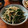 低カロ探検隊's cooksnap of when they made もやしとおかひじきのおかか和え.