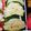えみたL96H5M's cooksnap of when they made 簡単！お弁当にも！ズッキーニのチーズ焼き.