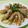 みかかめ's cooksnap of when they made 豚肉の野菜巻き.