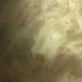 ma___111's cooksnap of when they made 簡単♪もやしとツナのカレーマヨサラダ.