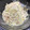 2483's cooksnap of when they made キャベツの鮭フレークからしマヨネーズ和え.