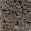 448's cooksnap of when they made 納豆のビニールを簡単にとる方法→冷凍で♪.