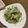 さっちあっきママ's cooksnap of when they made 豆苗とツナのナムル.