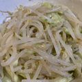 紅目白毛小悪魔's cooksnap of when they made きゅうりともやしのツナ和え.