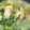 ★ほのどんママ★'s cooksnap of when they made 青梗菜とエビの中華炒め.