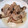 よーこ☆ガッキー's cooksnap of when they made 豚肉としめじのオイスター炒め☆.