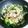 ととろ＆めい's cooksnap of when they made 保育園で人気☆青菜と春雨ソテー.