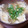 ﾋﾟﾛﾐ♡'s cooksnap of when they made みょうがと卵のトロトロすまし汁.
