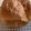 ぴっぴんぴ's cooksnap of when they made ココナッツオイルHBでサクフワ食パン！.