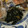 クックUL8OCM☆'s cooksnap of when they made 【基本】ほうれん草の胡麻和え.