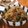 低カロ探検隊's cooksnap of when they made 韓国のりでしらたききんぴら.