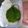 狼かあさん☆'s cooksnap of when they made 大葉を上手に保存して無駄なく.