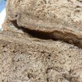 わたるんママ's cooksnap of when they made HB 早焼き♪ふわ②やわらかココア食パン.