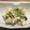 aiwee's cooksnap of when they made 小松菜と豆腐のチャンプル.