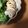 かなちん0807's cooksnap of when they made ＊鶏ササミの大葉チーズ巻き＊.