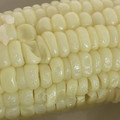 よーよー1970's cooksnap of when they made ゆで５分とうもろこし.