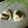 haruku221's cooksnap of when they made 春の訪れ。ウメ・梅ごはん.