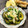 もりはん's cooksnap of when they made 夏の常備菜。ゴーヤの焼き浸し。.