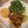 すか☆'s cooksnap of when they made かじきまぐろのレモンバターソース.