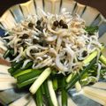 まんまーるさん's cooksnap of when they made 居酒屋の★シラスと小ネギのサラダ★.