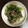 とまえさん's cooksnap of when they made 中華風☆豚コマ小松菜炒め.