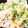 クックDM45FA☆'s cooksnap of when they made 牛めし！炊き込みご飯.