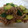 すずぱく's cooksnap of when they made 簡単過ぎるきゅうりと豚肉のキムチの素炒め.