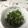 クックQT23CK☆'s cooksnap of when they made 電子レンジで簡単！オクラのおかか和え.