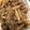 もこもこぼんぼん's cooksnap of when they made 豚こまゴボウの味噌炒め.