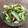まさたかまま's cooksnap of when they made 鶏皮☆簡単☆おつまみ☆材料4つ☆酢もつ風.