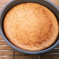 かちぇり's cooksnap of when they made 濃厚なのにヘルシー！簡単チーズケーキ.