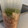 meg1518's cooksnap of when they made 簡単だし！おいしいし！の、水出し天然ダシ.