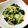 よよっち♪'s cooksnap of when they made オクラともやしのツナぽん和え.