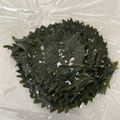 豆とオリーブ's cooksnap of when they made 青シソ 塩漬け おむすび 保存.