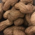 じんこ。's cooksnap of when they made とまらない！落花生の塩ゆで.