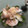 とら〜ず's cooksnap of when they made 10分♪生ハムと梨のおつまみサラダ♪簡単.