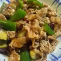 aizu_po's cooksnap of when they made 豚こまとナスとピーマンのチリソース炒め.