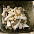 共働き夫婦）もにんぐ's cooksnap of when they made ✿きのこのナムル✿.