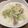 riomaru3's cooksnap of when they made キャベツと鶏モモのクリーム煮.
