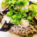 太鼓笛's cooksnap of when they made 蒸しナスと大根おろしのぶっかけ蕎麦。.