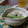 ダイナマイト漆黒's cooksnap of when they made 小松菜・ほうれん草とエノキのごまあえ♪.