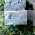 ぽちこ（マイ）'s cooksnap of when they made 苦くないゴーヤの下処理.