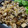 Ｍぱん's cooksnap of when they made 豚肉と茄子のマヨソテー.
