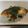 ユキユキ☆'s cooksnap of when they made たらのレモン風味.
