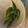 クックUL8OCM☆'s cooksnap of when they made 枝豆の〝美味しい〟蒸し茹で方！.