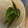クックUL8OCM☆'s cooksnap of when they made 枝豆の〝美味しい〟蒸し茹で方！.