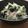 クック1FK0QL☆'s cooksnap of when they made みょうがと長葱わかめの酢味噌♡.