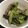 なぐ☆'s cooksnap of when they made 簡単 なすとししとうの炒め物.