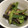 なぐ☆'s cooksnap of when they made 簡単 なすとししとうの炒め物.