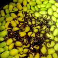 ゆっけママ〜ン's cooksnap of when they made 冷凍枝豆と塩こんぶの簡単煮物.